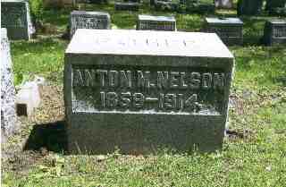 Anton Martin Nielsen